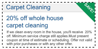 20 percent off whole house carpet cleaning