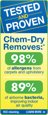 chem-dry removes allergens and bacteria from upholstery