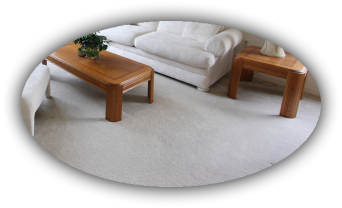 Clean carpet in living room