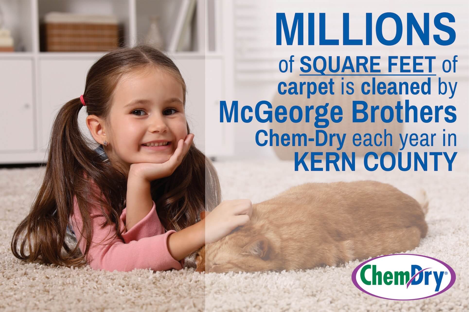 McGeorge Brothers Chem-Dry Carpet Cleaning